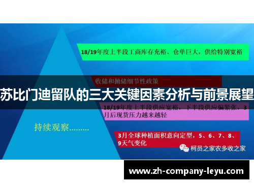 苏比门迪留队的三大关键因素分析与前景展望 苏比门迪留队的三大关键因素分析与前景展望