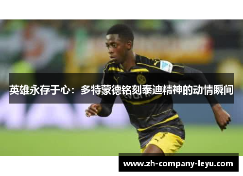 英雄永存于心：多特蒙德铭刻泰迪精神的动情瞬间