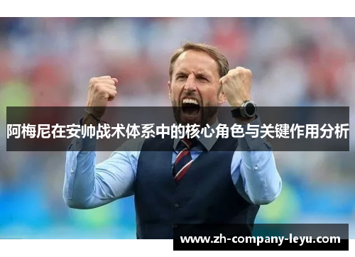 阿梅尼在安帅战术体系中的核心角色与关键作用分析 阿梅尼在安帅战术体系中的核心角色与关键作用分析