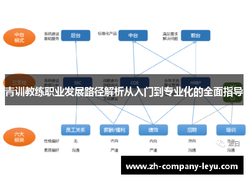 青训教练职业发展路径解析从入门到专业化的全面指导 青训教练职业发展路径解析从入门到专业化的全面指导