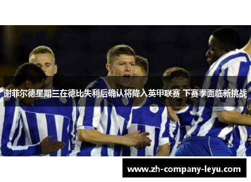 谢菲尔德星期三在德比失利后确认将降入英甲联赛 下赛季面临新挑战